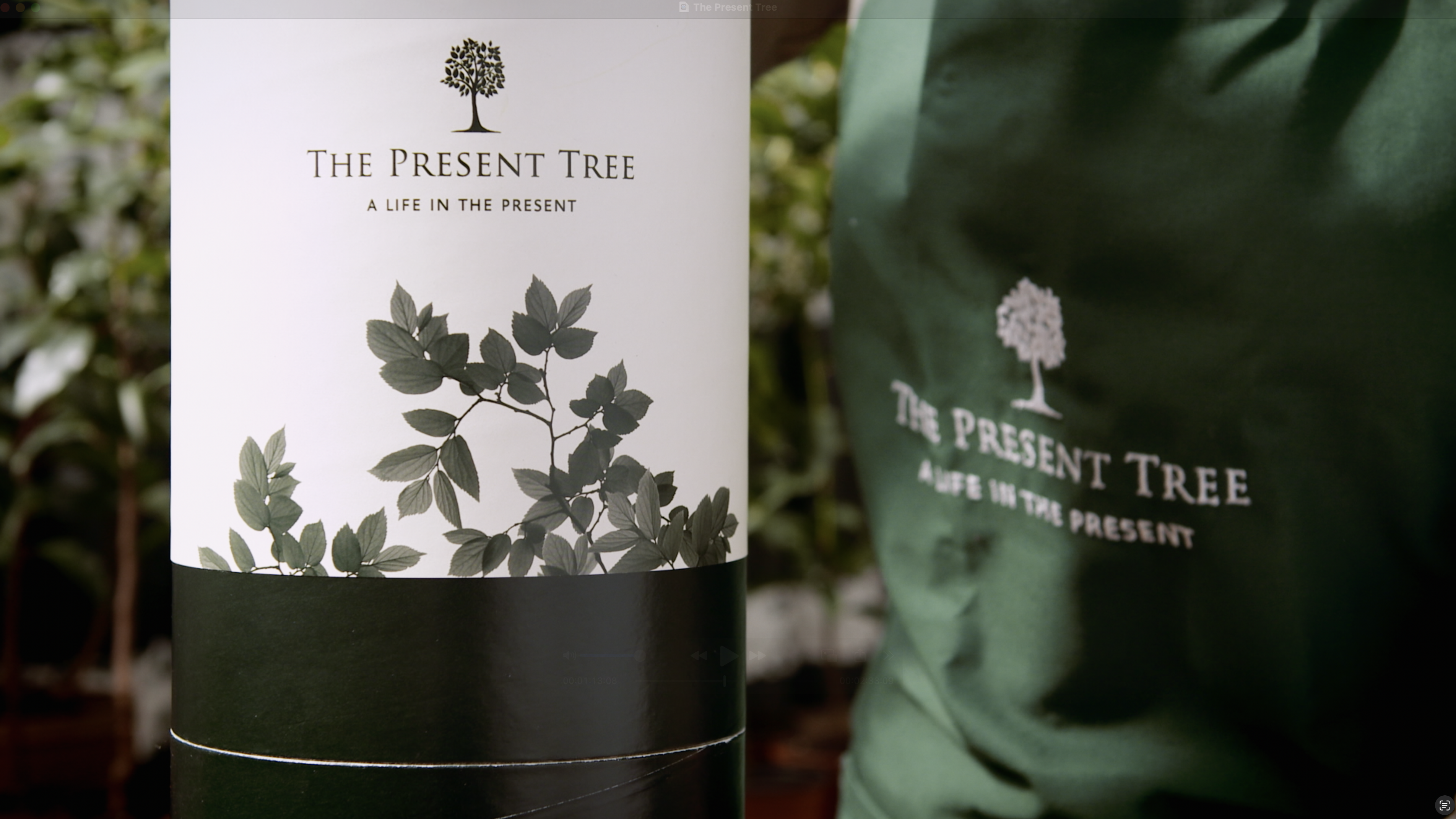 The Present Tree